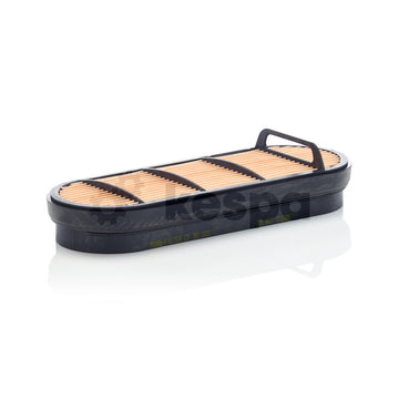 Air filter - secondary P606121 - 0