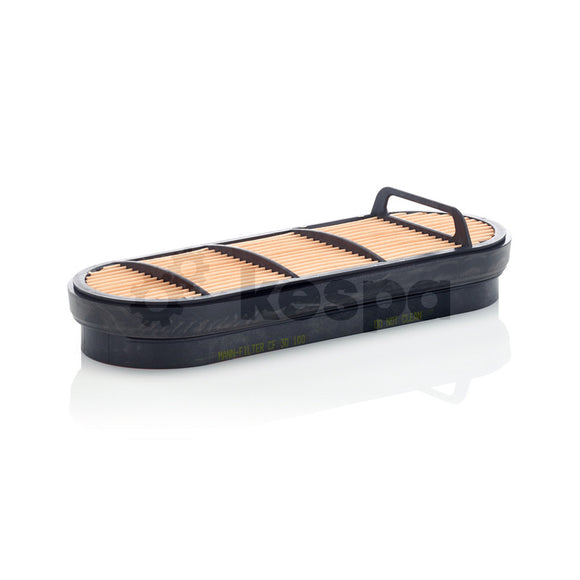 Air filter - secondary P606121