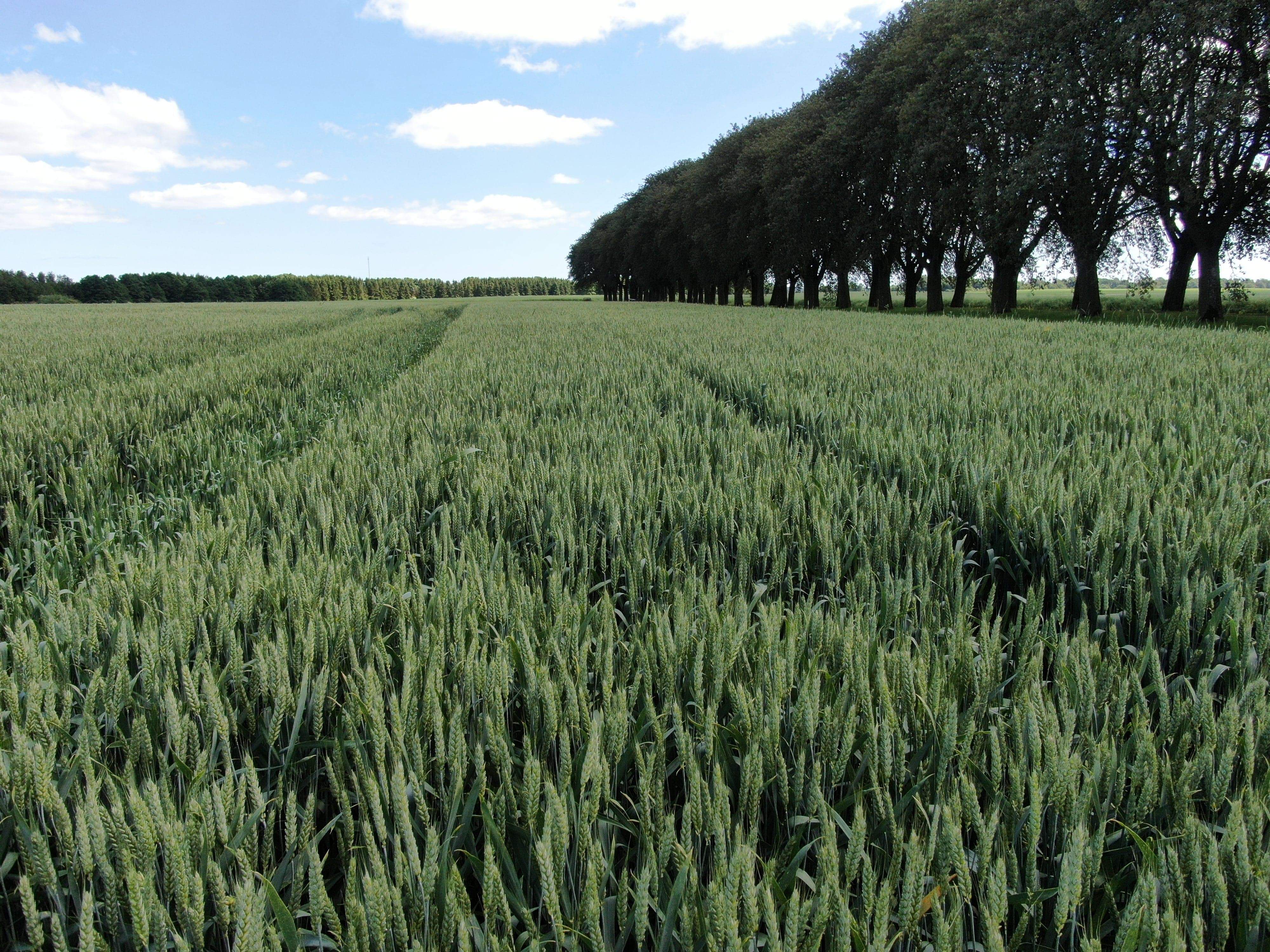 Privacy and cookie policy