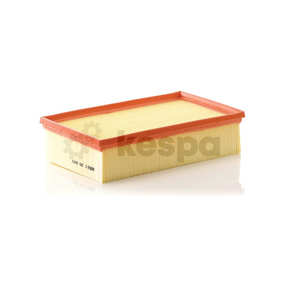 Luftfilterelement C30005  av  Kespa AB Luftfilter 6652