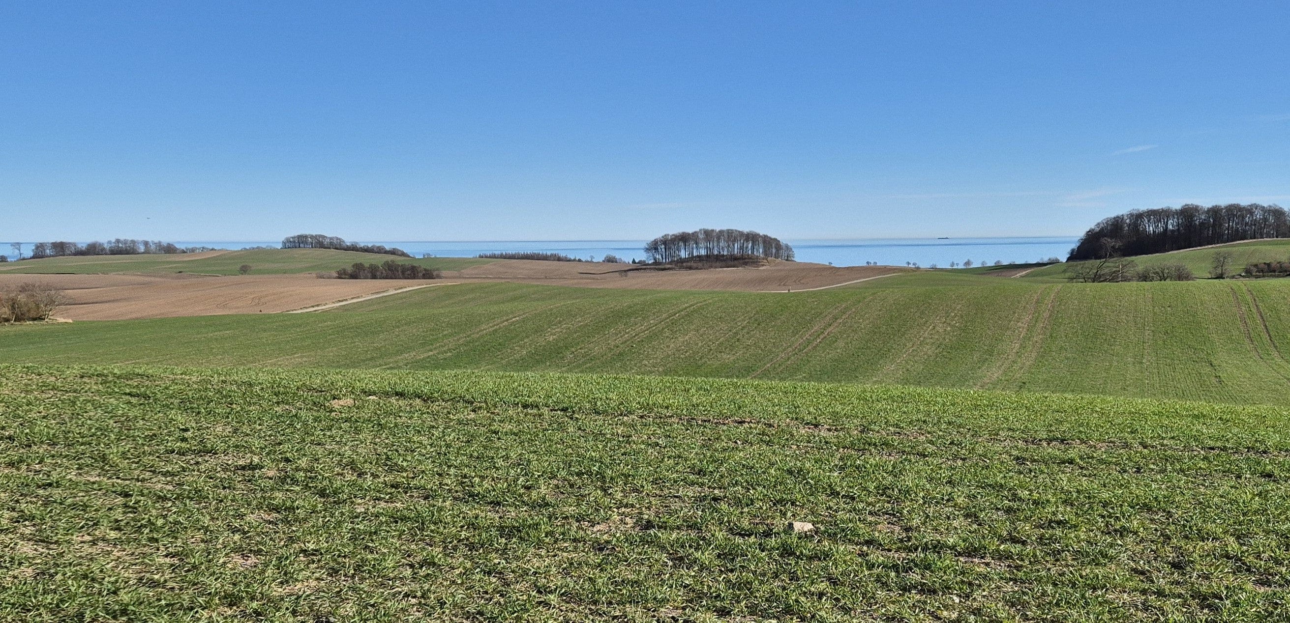 Filters, service parts, towing equipment and more for tractors and construction machinery from strong brands!