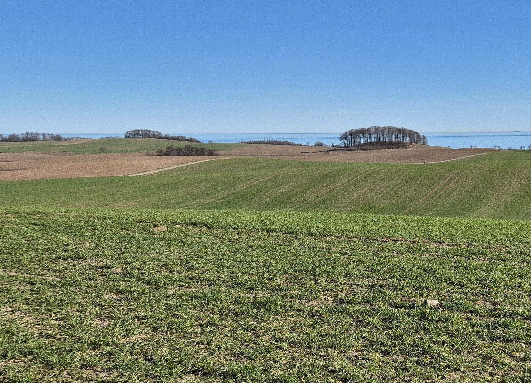 Filters, service parts, towing equipment and more for tractors and construction machinery from strong brands!